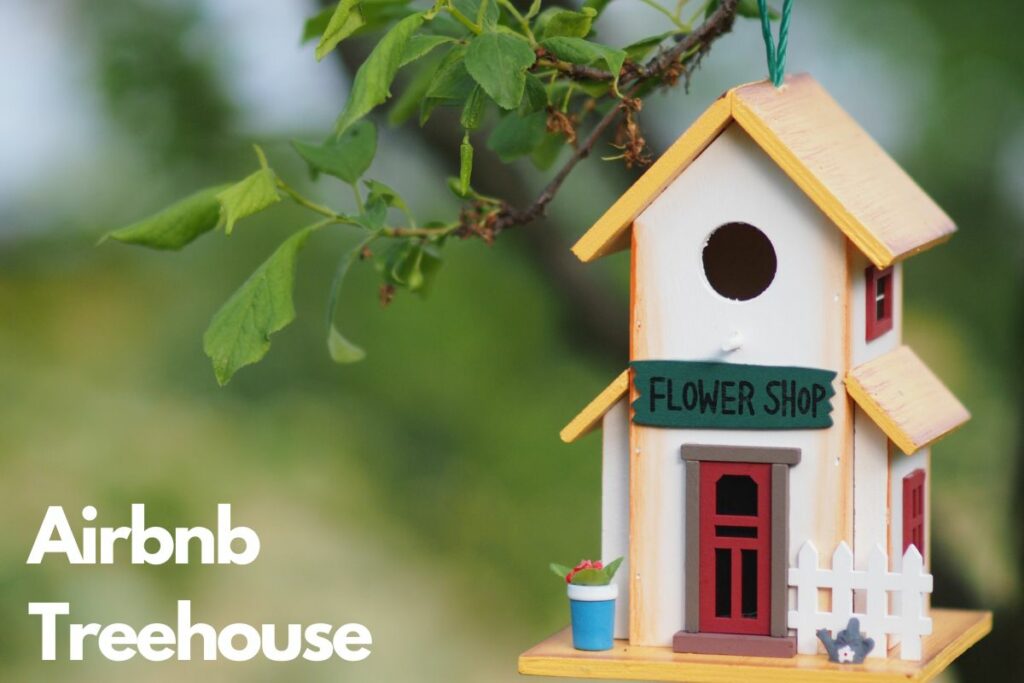 An Airbnb Treehouse Adventure In Georgia: Unwind in Nature's Embrace!